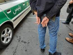 ناکامی سارق جاده‌ای با اقدام به موقع پلیس شاهین شهر
