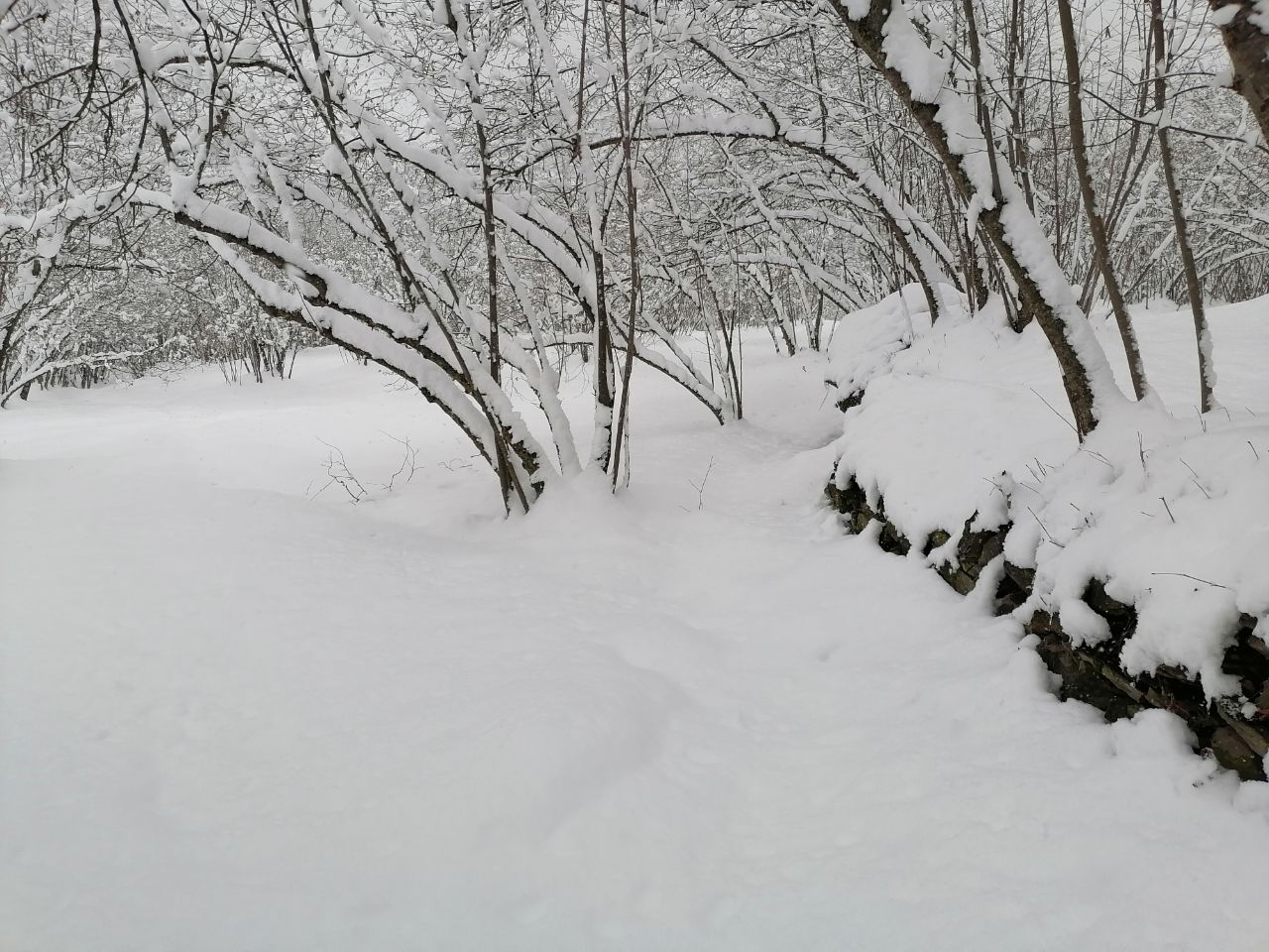 تعطیلی برخی مدارس مناطق برفگیر گیلان تعطیلی برخی مدارس مناطق برفگیر گیلان