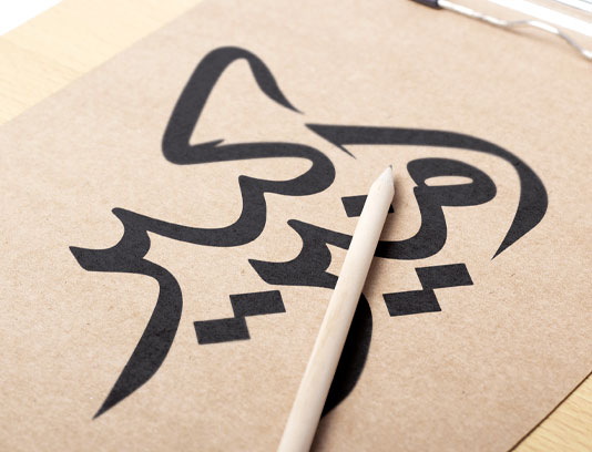 امیرکبیر، ستاره‌ای از مفاخر ایران زمین