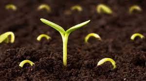 آب، سرمایه ملی چطور بر باد می‌رود؟