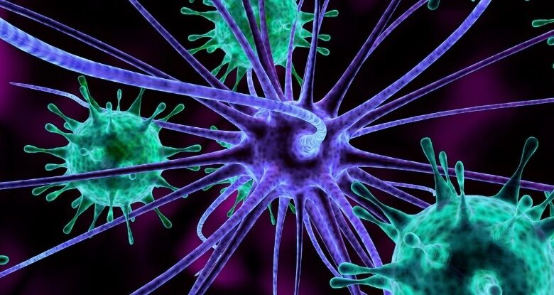 واکسیناسیون، راه کاهش خطر ابتلا به زوال عقل