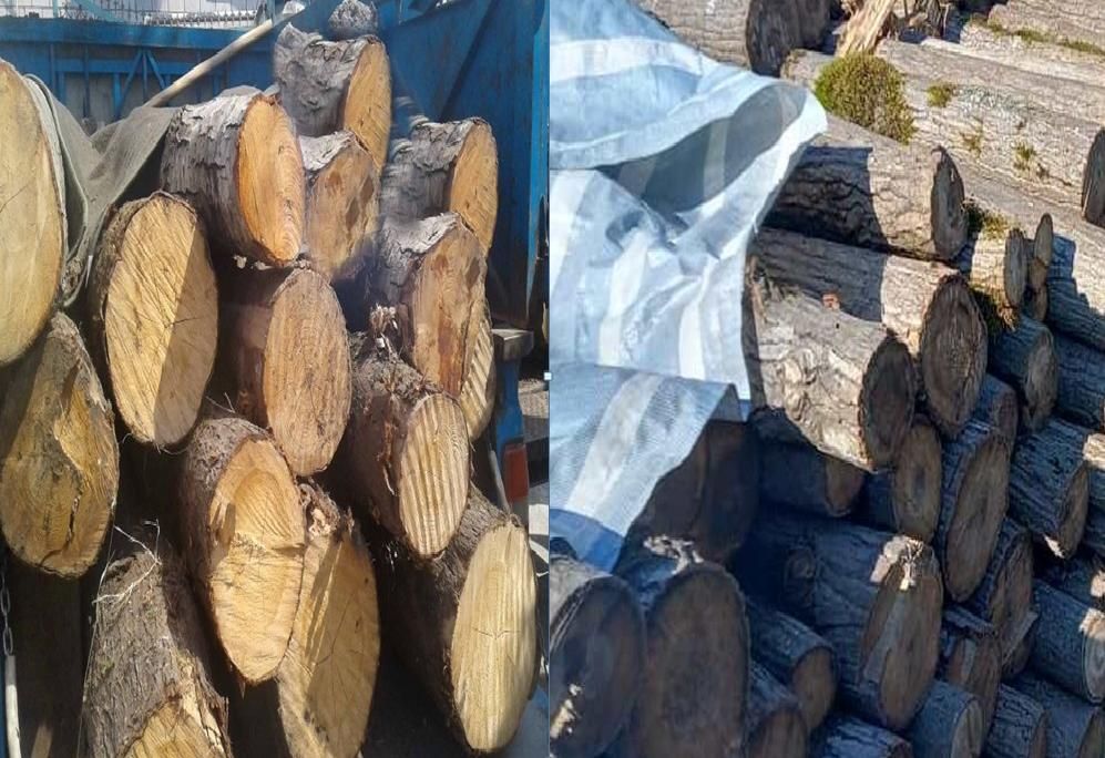 کشف چوبهای قاچاق در شفت کشف چوبهای قاچاق در شفت