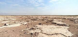 تالاب صالحیه، طبیعت سبز دیروز، امروز هوا را می‌بلعد