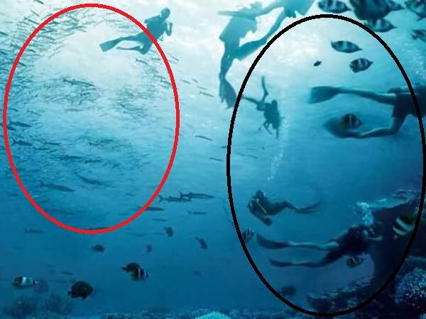 حس ششم و قدرت پیشگویی شما چقدر است؟  در ۵ ثانیه همه چیز فاش می‌شود!