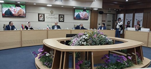 تأکید وزرای بهداشت ایران و ارمنستان بر تحکیم روابط در حوزه بهداشت
