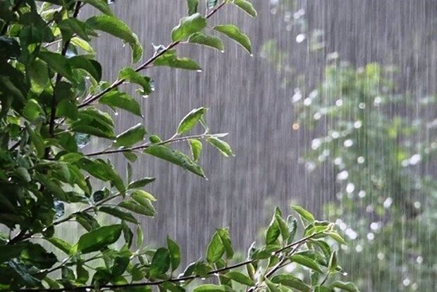 اعلام میزان بارندگی در کهگیلویه و بویراحمد