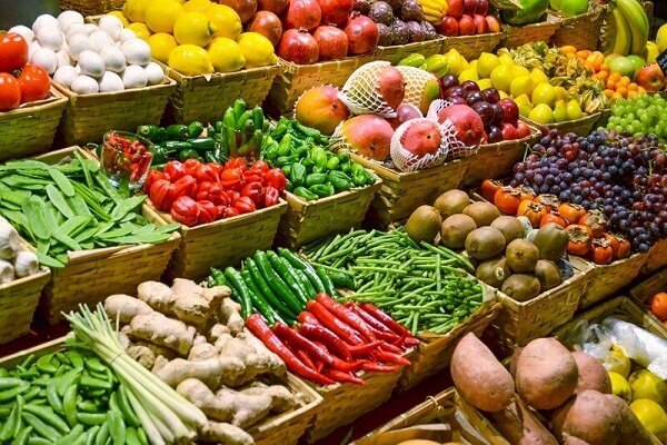 ایجاد ۱۰۰هکتار گلخانه برای یافتن راه حل بومی و هوشمندسازی ایجاد ۱۰۰هکتار گلخانه برای یافتن راه حل بومی و هوشمندسازی