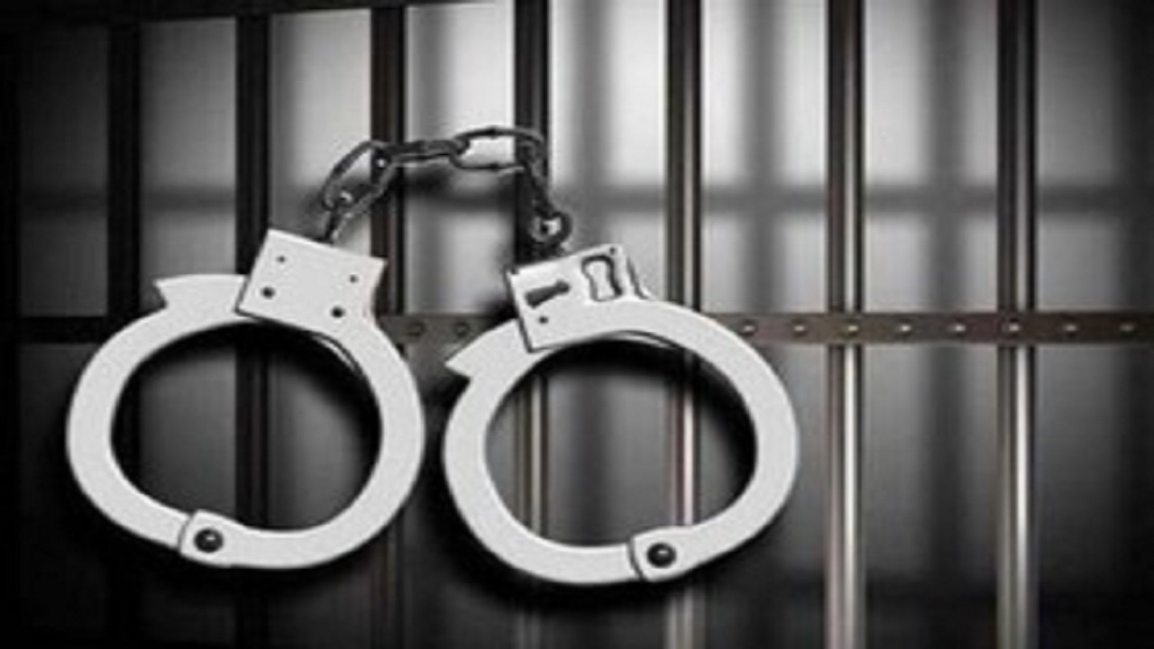 سارقان زورگیر با ۳۰ فقره سرقت زمینگیر شدند 