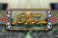 جلسه غیرعلنی مجلس با موضوع مولدسازی دارایی‌ها
