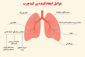 نشانه‌های کبد چرب در افراد