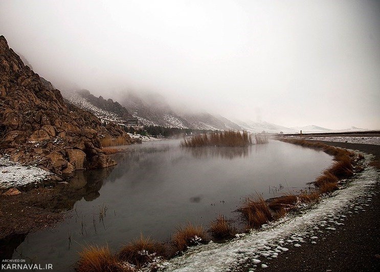 پوشش گیاهی هشیلان