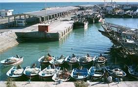 سفر وزیر جهاد کشاورزی به استان هرمزگان