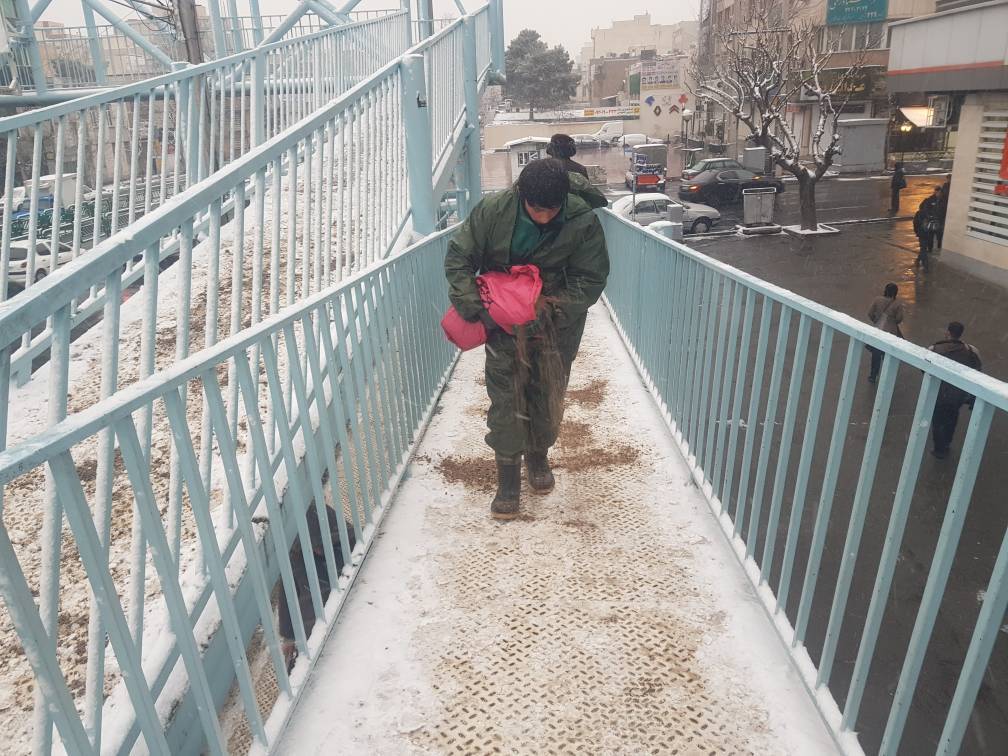 اقدامات پیشگیرانه از یخبندان در شمال شرق پایتخت