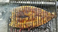 نخستین جشنواره طبخ ماهی در ماهنشان