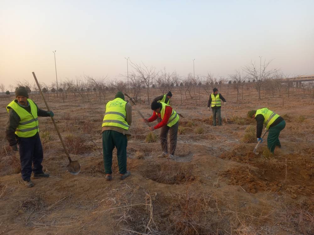 اجرای طرح بهاران خدمت در منطقه 22 پایتخت حتی در روز جمعه