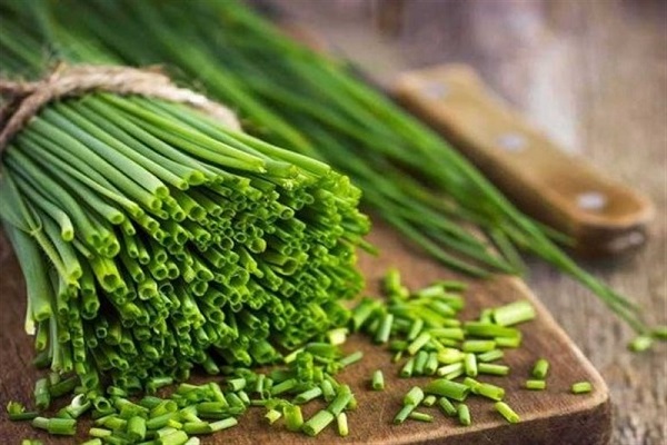 تره، ضدآفتاب طبیعی