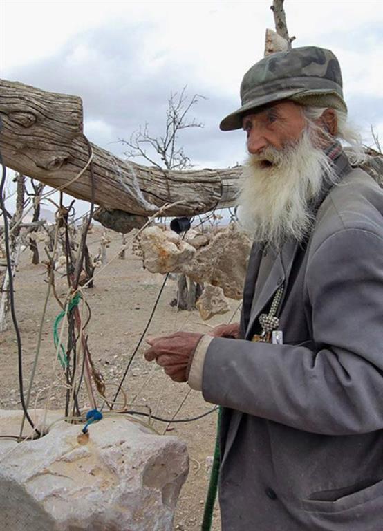 باغی عجیب با میوه‌های سنگی