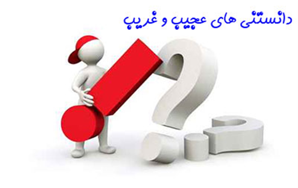 دانستنی های کوتاه و خواندنی دانستنی ها