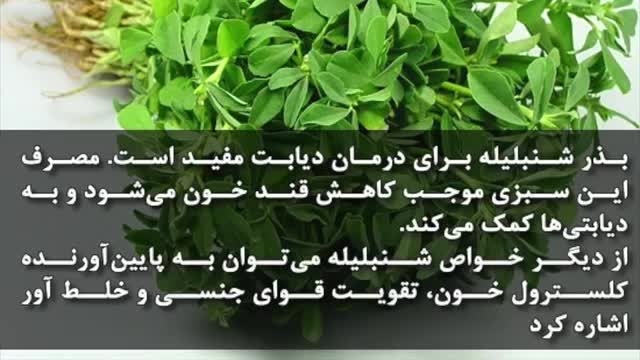 خواص شنبلیله