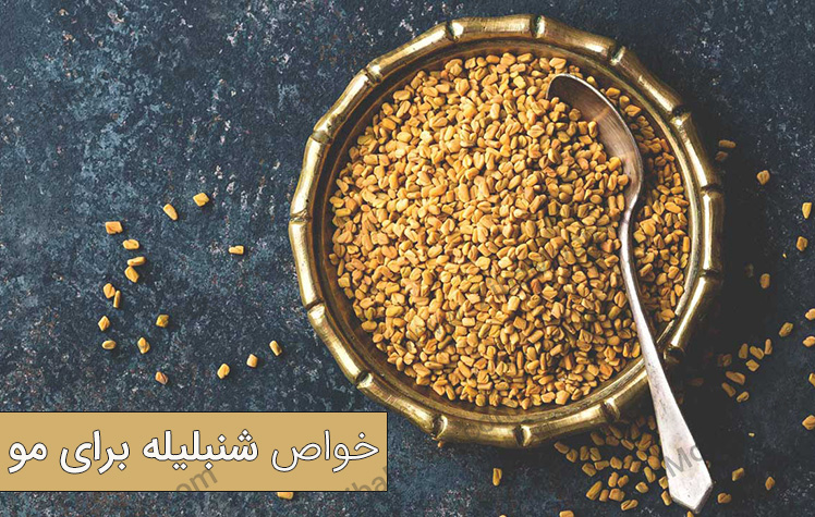 شنبلیله از سرتا شنبلیله از سرتا