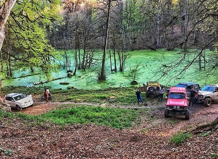 مردابی رمزآلود