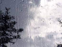 طراوت بارش باران در زنجان