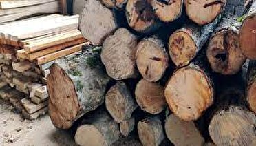 کشف و ضبط ۴۰ تن چوب قاچاق در سردشت کشف و ضبط ۴۰ تن چوب قاچاق در سردشت