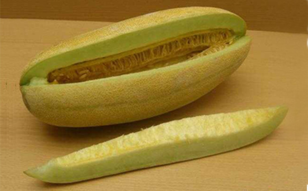 از بین بردن سنگ کلیه با خربزه