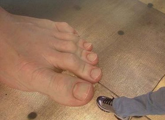 مجسمه شگفت برانگیز فراواقعی! مجسمه شگفت برانگیز فراواقعی!