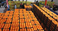 توزیع میوه شب عید