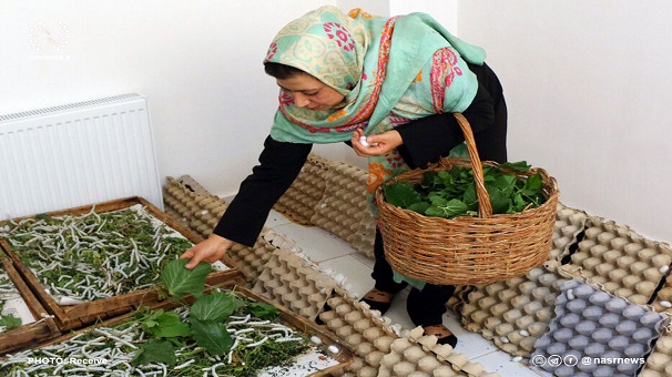 مرور مهمترین رویداهای جهاددانشگاهی در سالی که گذشت مرور مهمترین رویداهای جهاددانشگاهی در سالی که گذشت