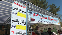 آغاز توزیع میوه تنظیم بازار در کرمان