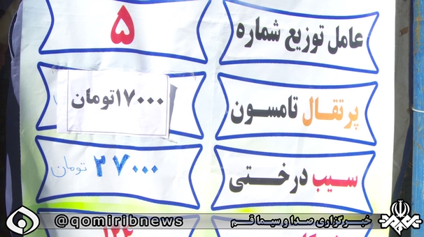 تا پایان تعطیلات برای تامین میوه تنظیم بازاری در استان قم مشکلی نداریم