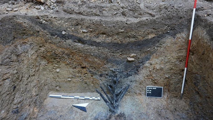 کشف سیم‌خاردار چوبی ۲ هزارساله در یک خندق رومی!