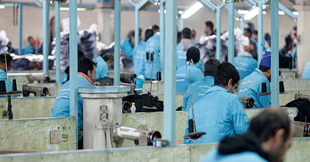 اشتغال بیش از 40 هزار زندانی در زندان های سراسر کشور
