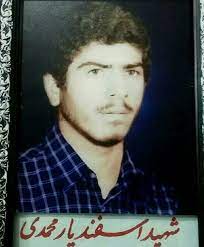 شهید محمدی از شهدای غواص دوران دفاع مقدس