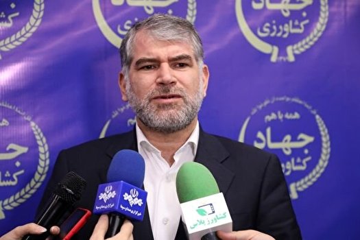 آمار دقیقی از فعالیت‌های کشاورزی نداریم