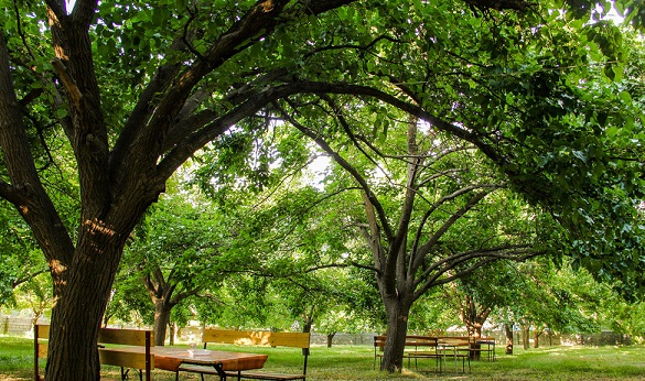 صدور سند مالکیت رسمی برای پارک جنگلی ارومیه به نام دولت