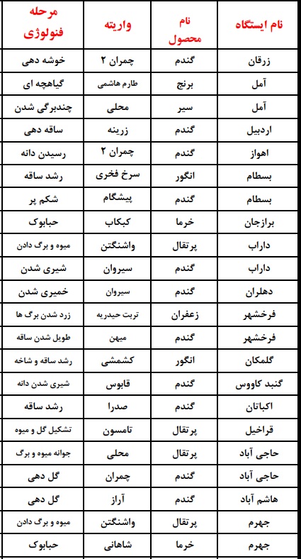 از شکوفه دادن آلو در ارومیه تا رشد انبه در میناب؛ از شکوفه دادن آلو در ارومیه تا رشد انبه در میناب؛