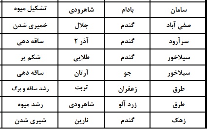 از شکوفه دادن آلو در ارومیه تا رشد انبه در میناب؛ از شکوفه دادن آلو در ارومیه تا رشد انبه در میناب؛