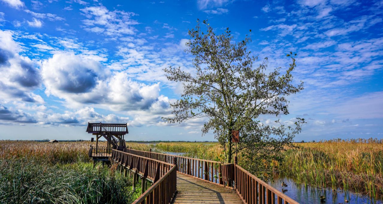 آزاد سازی ۷ هکتار زمین ملی در لاهیجان