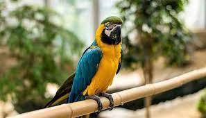 مکان های تفریحی برای بچه ها در تهران مکان های تفریحی برای بچه ها در تهران