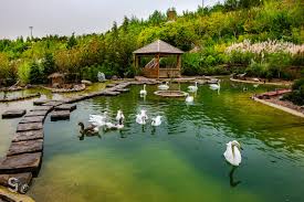 مکان های تفریحی برای بچه ها در تهران مکان های تفریحی برای بچه ها در تهران