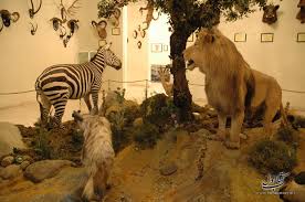 مکان های تفریحی برای بچه ها در تهران مکان های تفریحی برای بچه ها در تهران