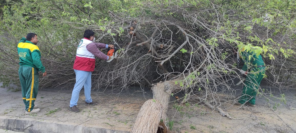 باد با سرعت ۱۲۶ کیلومتر در ساعت بوشهر را در نوردید