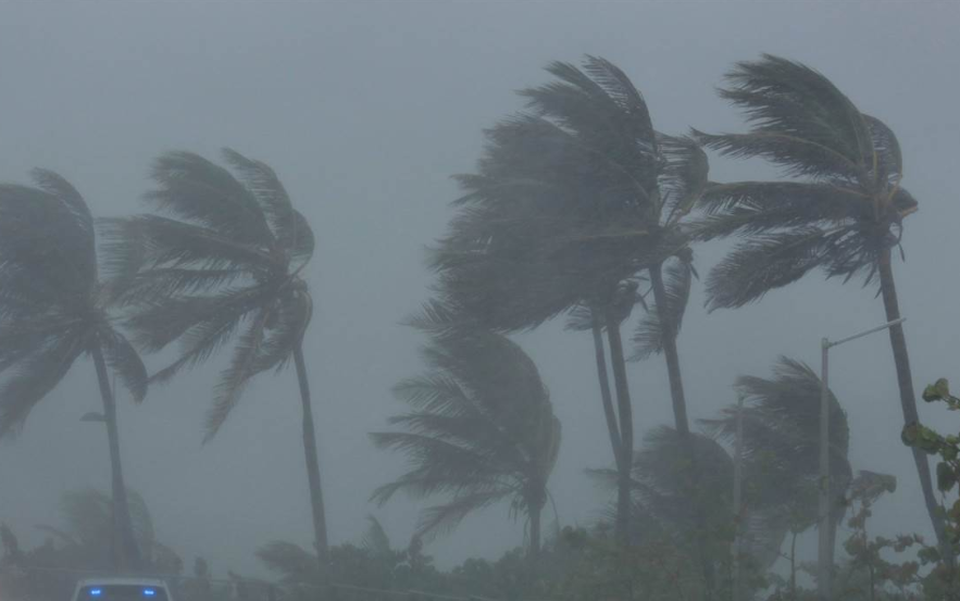 پیشبینی افزایش سرعت باد و گردوخاک در بوشهر پیشبینی افزایش سرعت باد و گردوخاک در بوشهر