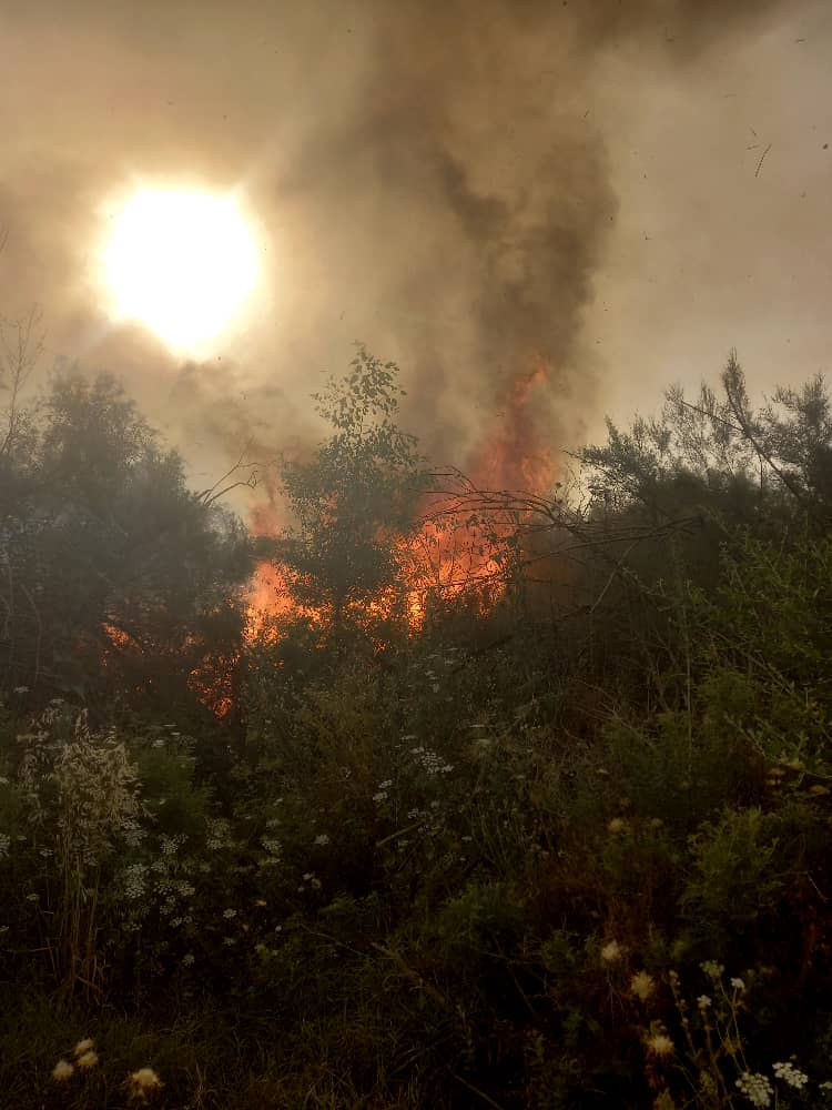 مهار آتش در جنگل روستای مهدی آباد شوشتر مهار آتش در جنگل روستای مهدی آباد شوشتر