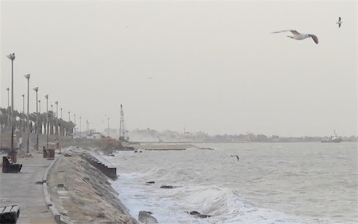 سواحل بوشهر همچنان مواج است سواحل بوشهر همچنان مواج است