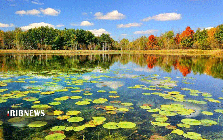 ایران از مهمترین زیستگاه های پرندگان مهاجر