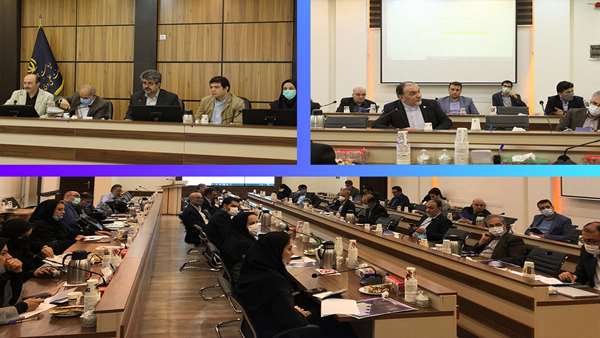 سند ملی علوم و فناوری‌های سلول‌های بنیادی مورد بازنگری قرار گرفت